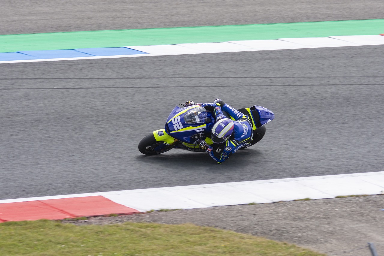 毫无疑问为 毫无疑问为