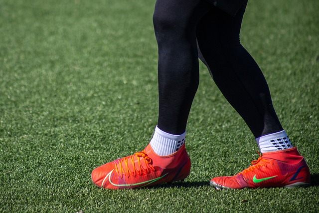 有望在未來 有望在未來