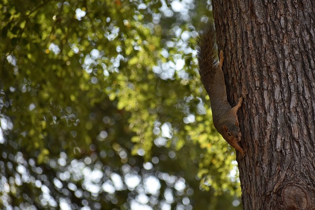 只要繼續致 只要繼續致