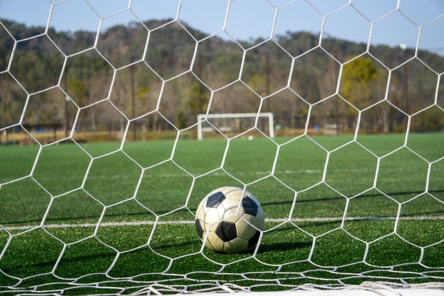 进行布局 进行布局