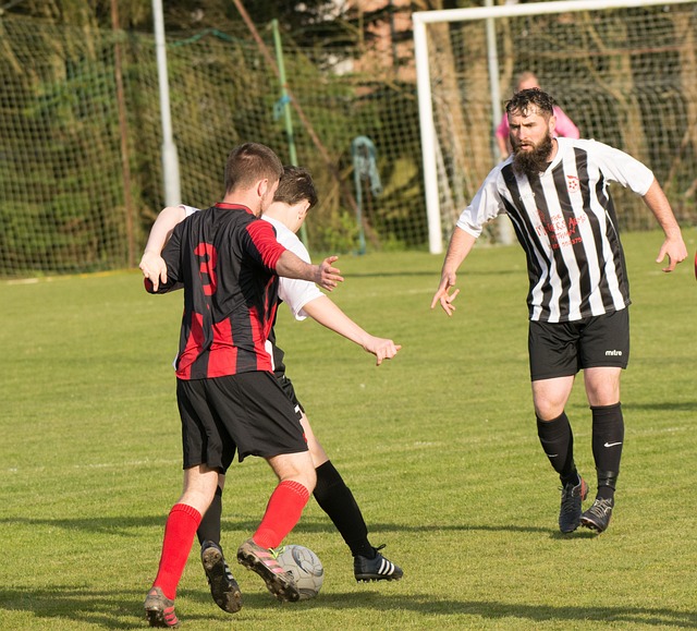 在全球政治 在全球政治