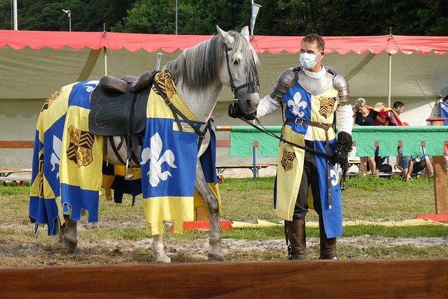 在全球政治 在全球政治