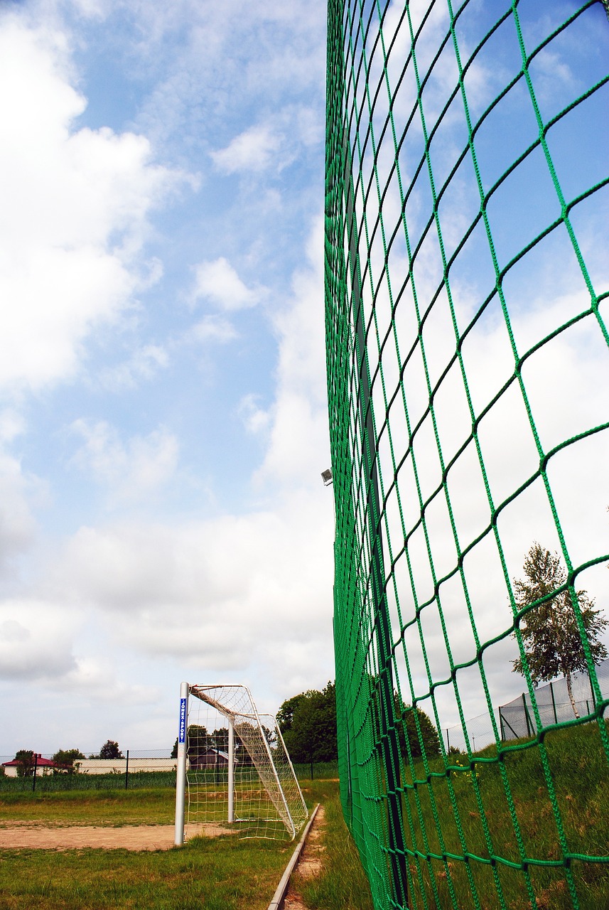 港隊運動員 港隊運動員