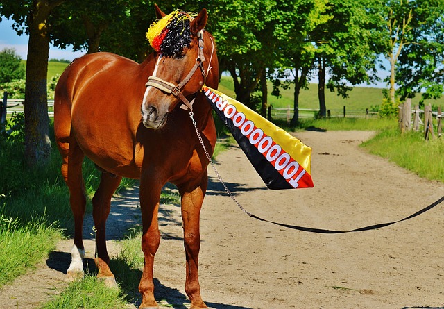 热情支持 热情支持